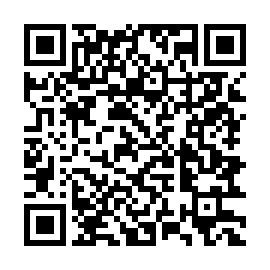 セブの条件を旅マネへ渡すURLのQRコード
