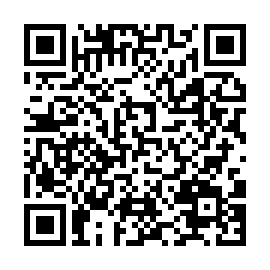 ハノイの条件を旅マネへ渡すURLのQRコード
