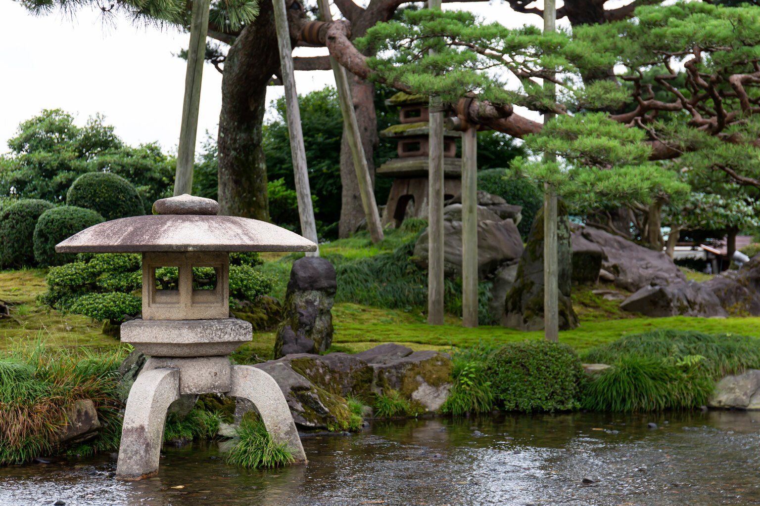 金沢・兼六園の池とことじ灯籠、手入れされた松の風景
